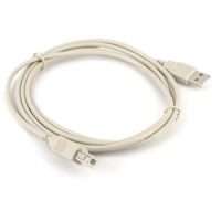 Beige USB A to USB B printer cable coiled on a white background