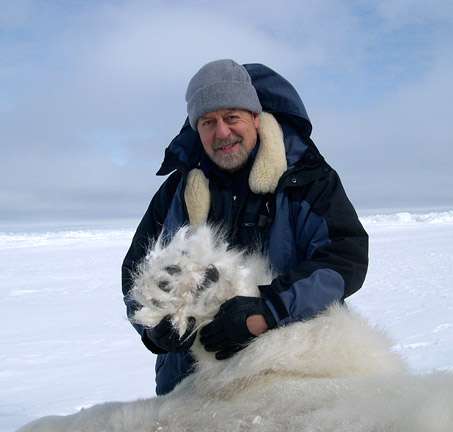 Scientist tags a polar bear in the Arctic frontier, capturing wildlife research.